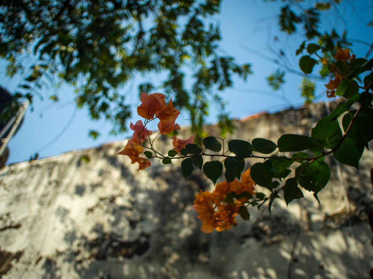 Pueblito Magico Hostel - Mompox Exteriér fotografie